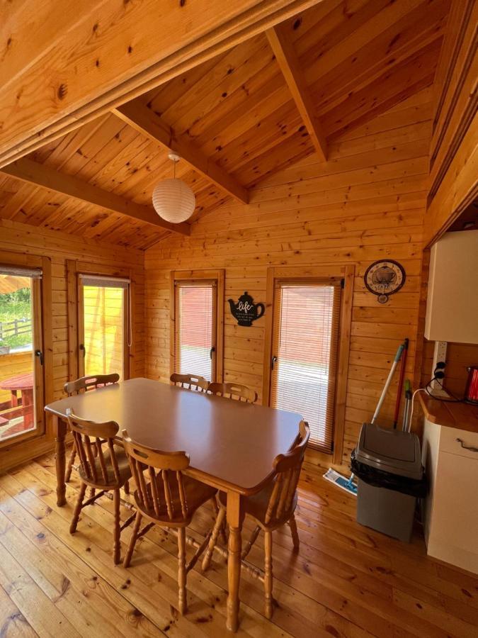 Ferienwohnung Red Robin Nest Galway Exterior foto