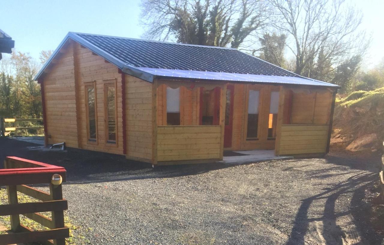 Ferienwohnung Red Robin Nest Galway Exterior foto